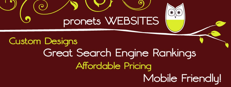 PRONETS Websites (click for more info)